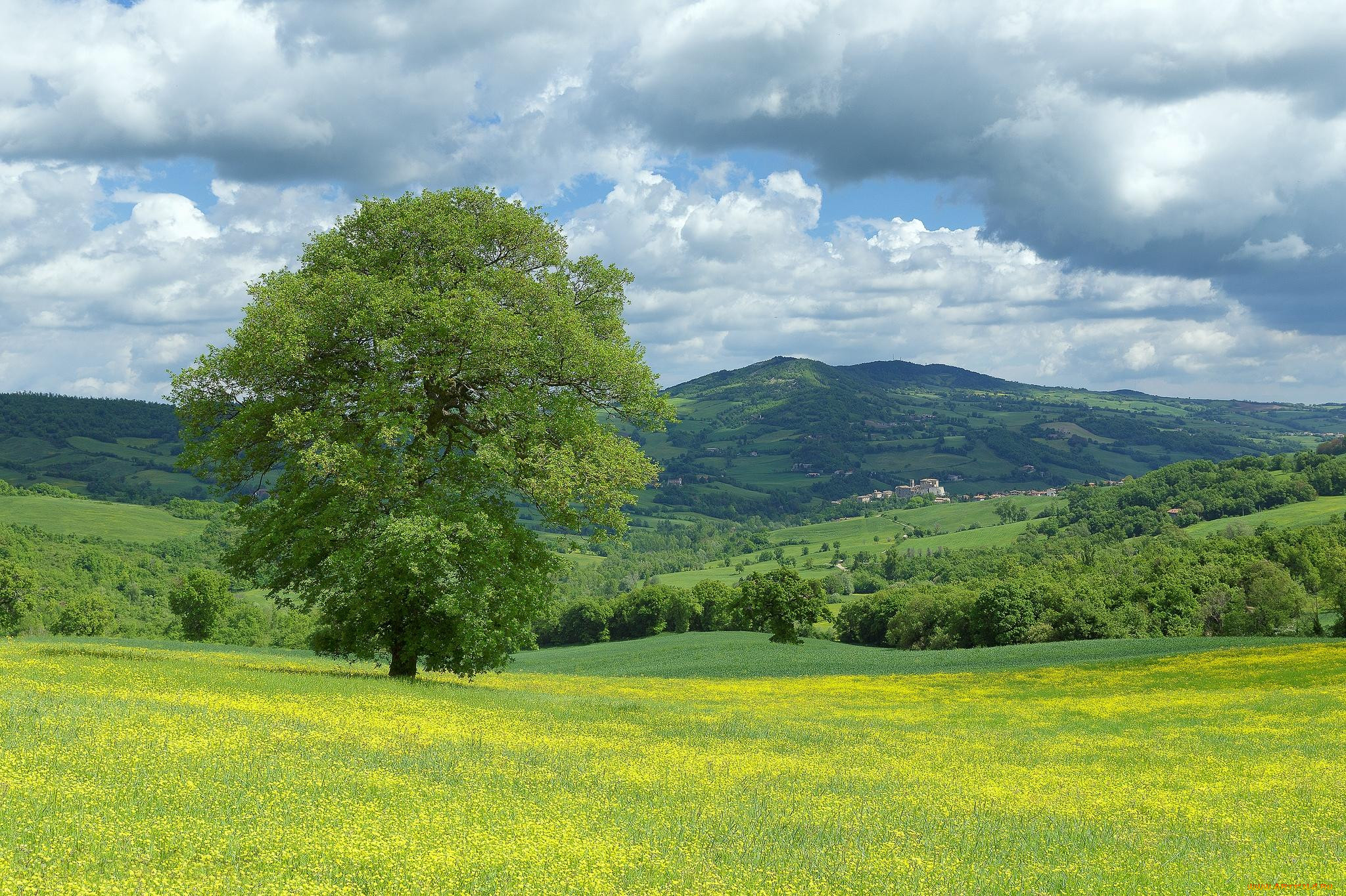 , , , , , , monte, cerignone
